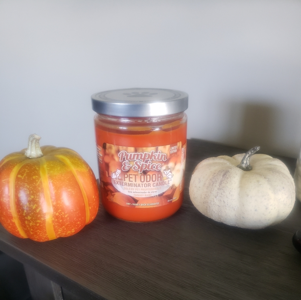 NWT PUMPKIN SPICE PETCANDLE
